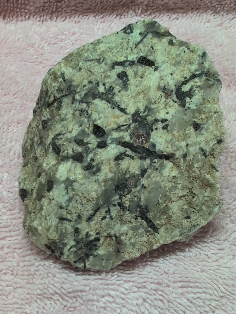 Black Tourmaline In Quartz #4